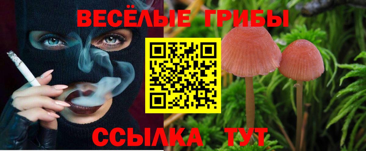 Псилоцибиновые грибы GOLDEN TEACHER  Вход с VPN  купить наркоту  Ишимбай 