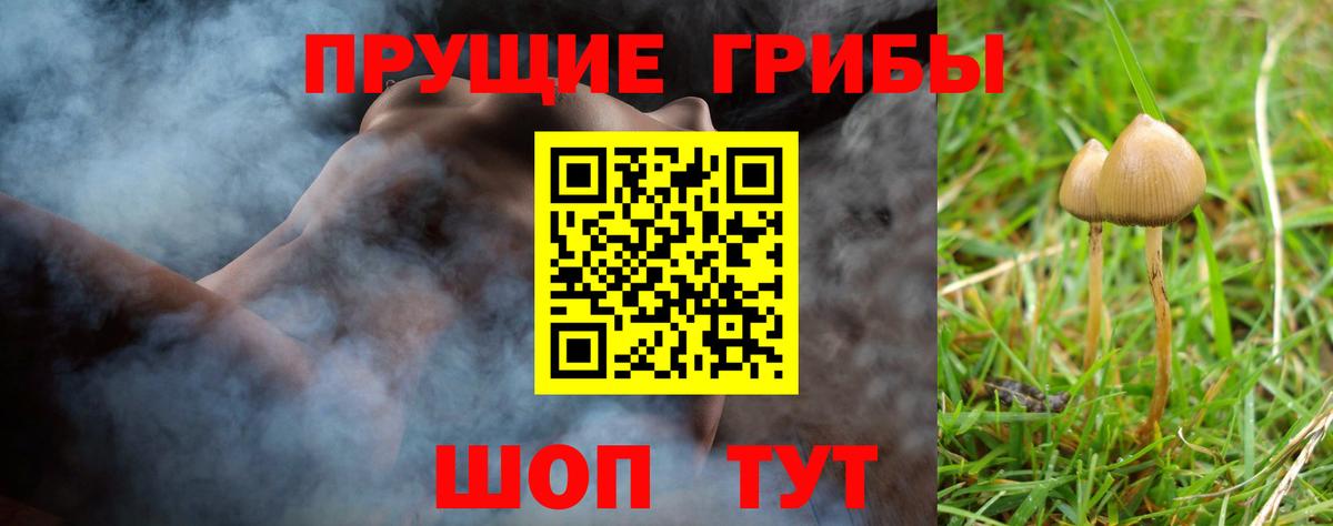 Псилоцибиновые грибы GOLDEN TEACHER  Вход с VPN  Псилоцибиновые грибы ЛСД  Ишимбай 
