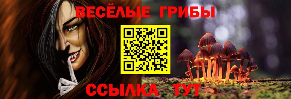 Псилоцибиновые грибы Cubensis Ишимбай