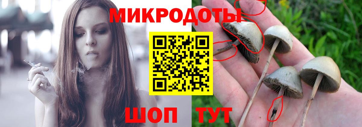 Галлюциногенные грибы мухоморы  как найти наркотики  Ишимбай 